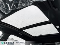 2026 Acura RDX Platinum Elite A-Spec AWD