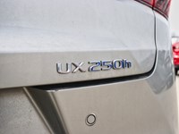 2020 Lexus Ux 250H Ux 250H CVT
