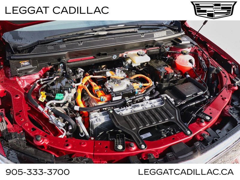 2026 Cadillac OPTIQ 4dr Premium Sport