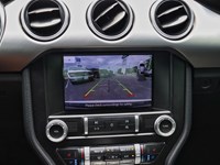 2020 Ford Mustang GT Premium Convertible | 5.0L | NAV | AUTO | 20s
