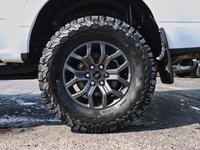 2022 Ford F-150 Tremor | 4X4 | 3.5L | TLGT STEP | TOW | 18s