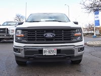 2024 Ford F-150 XL | 4x4 | 3.5L ECO | TOW | CHROME BUMPERS | 17s