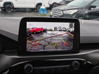 2025 FORD ESCAPE ACTIVE | AWD | 1.5L | HTD STR WHL | BLIS | LED