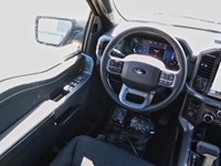 2025 Ford F-150 XLT | 4X4 | 3.5L | 302A |BLK PK PLUS | BED UTL