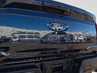 2025 Ford F-150 XLT | 4X4 | 3.5L | 302A |BLK PK PLUS | BED UTL