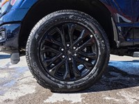 2025 Ford F-150 XLT | 4X4 | 3.5L | 302A |BLK PK PLUS | BED UTL