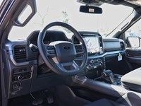 2025 Ford F-150 XLT | 4X4 | 3.5L | 302A |BLK PK PLUS | BED UTL
