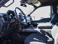 2025 Ford F-150 XLT | 4X4 | 3.5L | 302A |BLK PK PLUS | BED UTL
