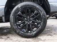 2025 Ford F-150 XLT | 4X4 | 2.7L | 303A | ROOF| BLK PK PLS|BED UTL