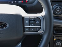 2025 Ford F-150 XLT | 4x4 | 5.0L | 303A | BLK PK PLS | ROOF | FX4