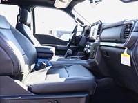 2025 Ford F-150 XLT | 4x4 | 5.0L | 303A | BLK PK PLS | ROOF | FX4