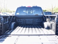 2025 Ford F-150 XLT | 4x4 | 5.0L | 303A | BLK PK PLS | ROOF | FX4