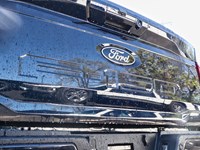 2025 Ford F-150 XLT | 4x4 | 5.0L | 303A | BLK PK PLS | ROOF | FX4