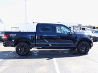 2025 Ford F-150 XLT | 4x4 | 5.0L | 303A | BLK PK PLS | ROOF | FX4
