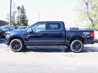 2025 Ford F-150 XLT | 4x4 | 5.0L | 303A | BLK PK PLS | ROOF | FX4