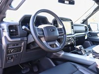 2025 Ford F-150 XLT | 4x4 | 5.0L | 303A | BLK PK PLS | ROOF | FX4