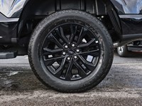 2025 Ford F-150 LARIAT | 4X4 | HYRBID |502A |BLK PK |ROOF |BD UTL