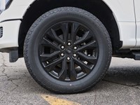2025 Ford F-150 LARIAT | 4X4 | 5.0L | 502A | ROOF|BLK PK |BD UTL
