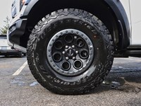 2025 Ford F-150 Raptor | 4X4 | 3.5L | 802A | ROOF | SPRAY-IN