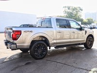 2025 Ford F-150 XLT | 4X4 | 2.7L | 302A | BLK PKG PLS | 360 | 20s