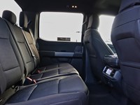 2025 FORD F-150 XLT | 4X4 | 5.0L | 301A | BLK PK | BED UTL | 18S