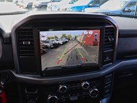 2025 FORD F-150 XLT | 4X4 | 5.0L | 301A | BLK PK | BED UTL | 18S