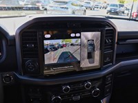 2025 FORD F-150 XLT | 4X4 | HYBRID | 302A | BLK PK PLS |7.2KW |T/H