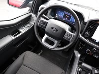 2025 FORD F-150 XLT | 4X4 | 3.5L | 302A | BLK PK PLS | 20S