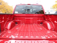 2025 FORD F-150 XLT | 4X4 | 3.5L | 302A | BLK PK PLS | 20S