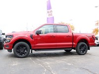 2025 FORD F-150 XLT | 4X4 | 3.5L | 302A | BLK PK PLS | 20S