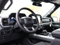 2025 FORD F-150 XLT | 4X4 | 3.5L | 302A | BLK PK PLS | 20S