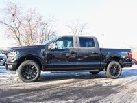 2025 FORD F-150 XLT | 4X4 | 2.7L | 302A | BLK PK PLS | BED UTL|20S