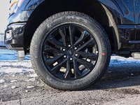 2025 FORD F-150 XLT | 4X4 | 2.7L | 302A | BLK PK PLS | BED UTL|20S