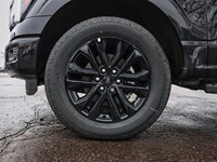 2025 Ford F-150 LARIAT | 4X4 | 3.5L | 501A | BLK PK | ROOF | 20s