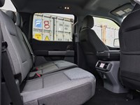 2025 Ford F-150 Lightning XLT | 4X4 | STD BAT | 311A | TLGT STEP | MB PWR CO