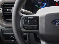 2025 Ford F-150 Lightning XLT | 4WD | STD BAT | TLGT STEP | MB PWR CORD