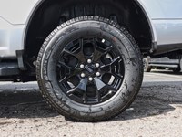 2025 Ford F-150 Lightning XLT | 4WD | STD BAT | TLGT STEP | MB PWR CORD