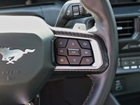 2025 Ford Mustang GT | 5.0L | 301A | ACTV VALVE | 3.55 LMT SLIP| 19s