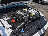 2025 Ford Mustang GT | 5.0L | 301A | ACTV VALVE | 3.55 LMT SLIP| 19s