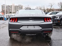 2025 Ford Mustang EcoBoost Fastback | 2.3L | 101A | 10-SPD AUTO