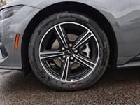 2025 Ford Mustang EcoBoost Fastback | 2.3L | 101A | 10-SPD AUTO