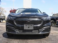 2025 Ford Mustang Mach-E Select | AWD | STD BAT | COMF PKG | MB PWR CORD