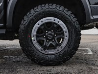 2025 Ford Ranger Raptor | 4X4 | 3.0L | 800A | RAP GRAPHIC | 17s