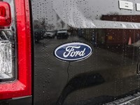 2026 Ford Bronco Sport Outer Banks | 4X4 | 1.5L | Tech Pkg | Roof | Crgo