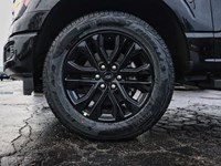 2026 FORD F-150 XLT | 4X4 | 2.7L | 303A | BLK PK PLS |ROOF |BD UTL