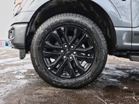 2026 Ford F-150 XLT | 4X4 | HYRBID | 302A | BLK PK PLS | BED UTL