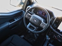 2026 Ford F-150 XLT | 4X4 | 5.0L | 302A | BLK PK PLS | BED UTL