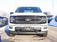 2026 Ford F-150 XLT | 4X4 | 5.0L | 302A | BLK PK PLS | BED UTL