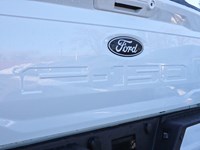 2026 Ford F-150 XLT | 4X4 | 5.0L | 302A | BLK PK PLS | BED UTL