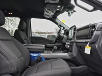 2026 Ford F-150 XLT | 4X4 | Hybrid | 302A | Blk Pk | Bed Utl | T/H